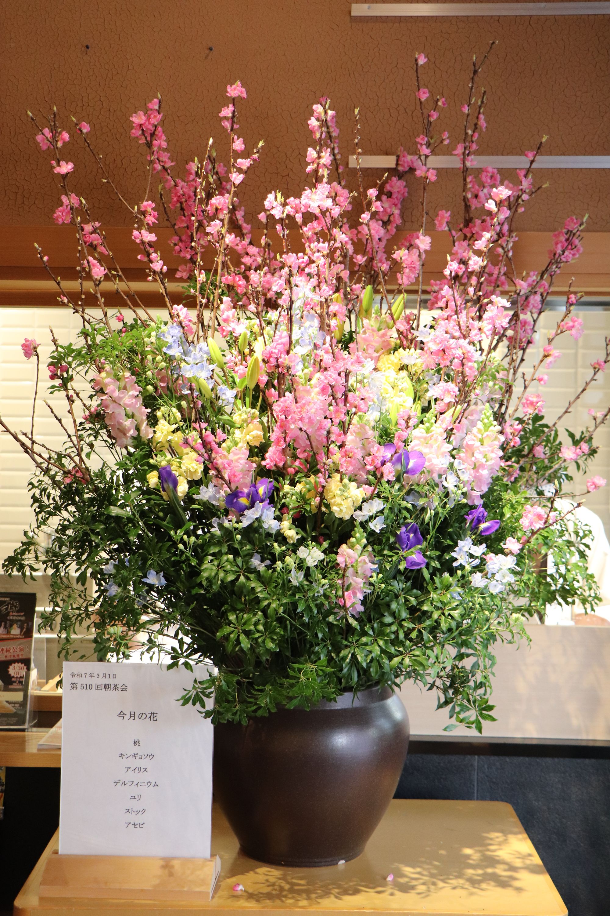 薄皮茶屋の朝茶会