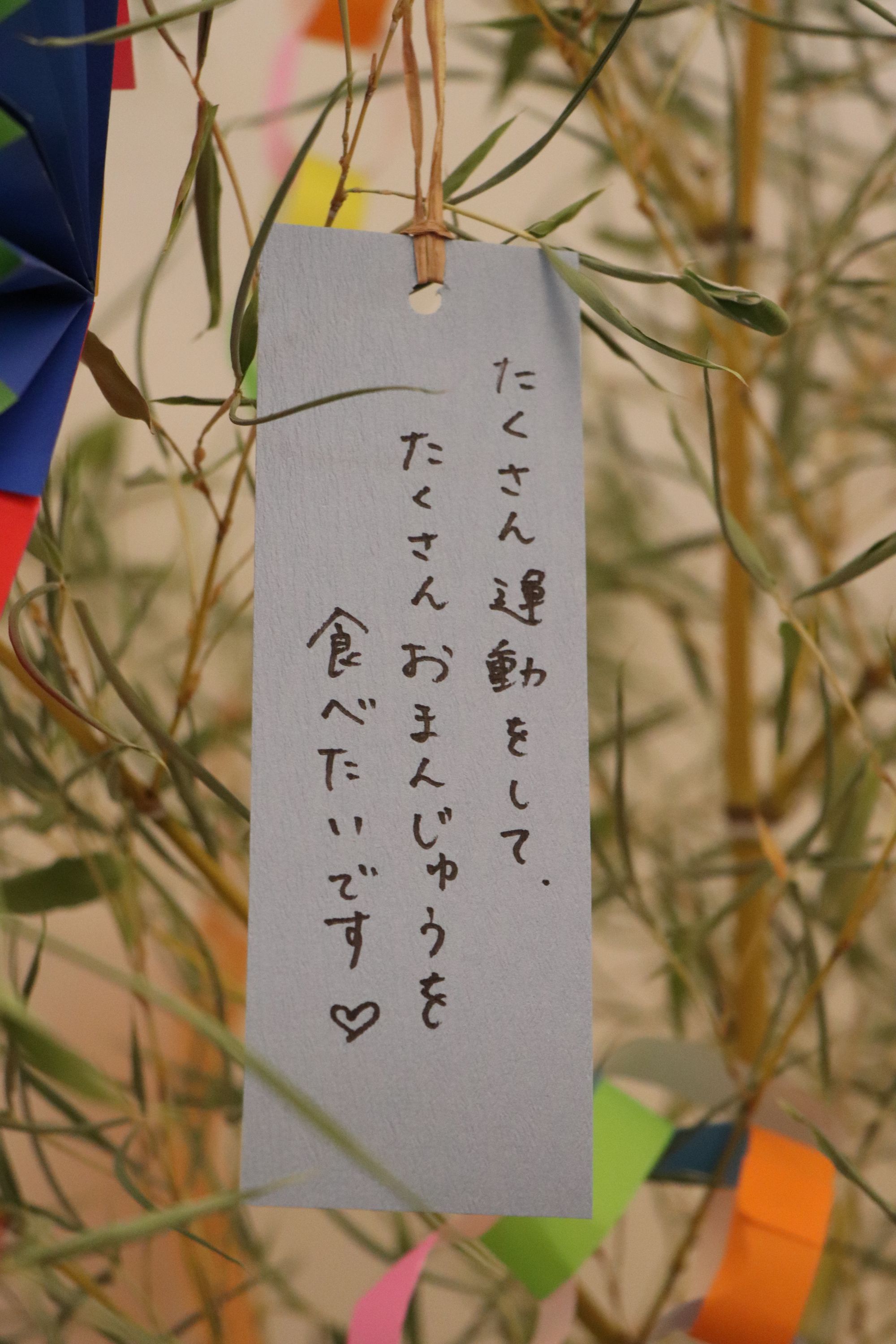 薄皮茶屋の朝茶会