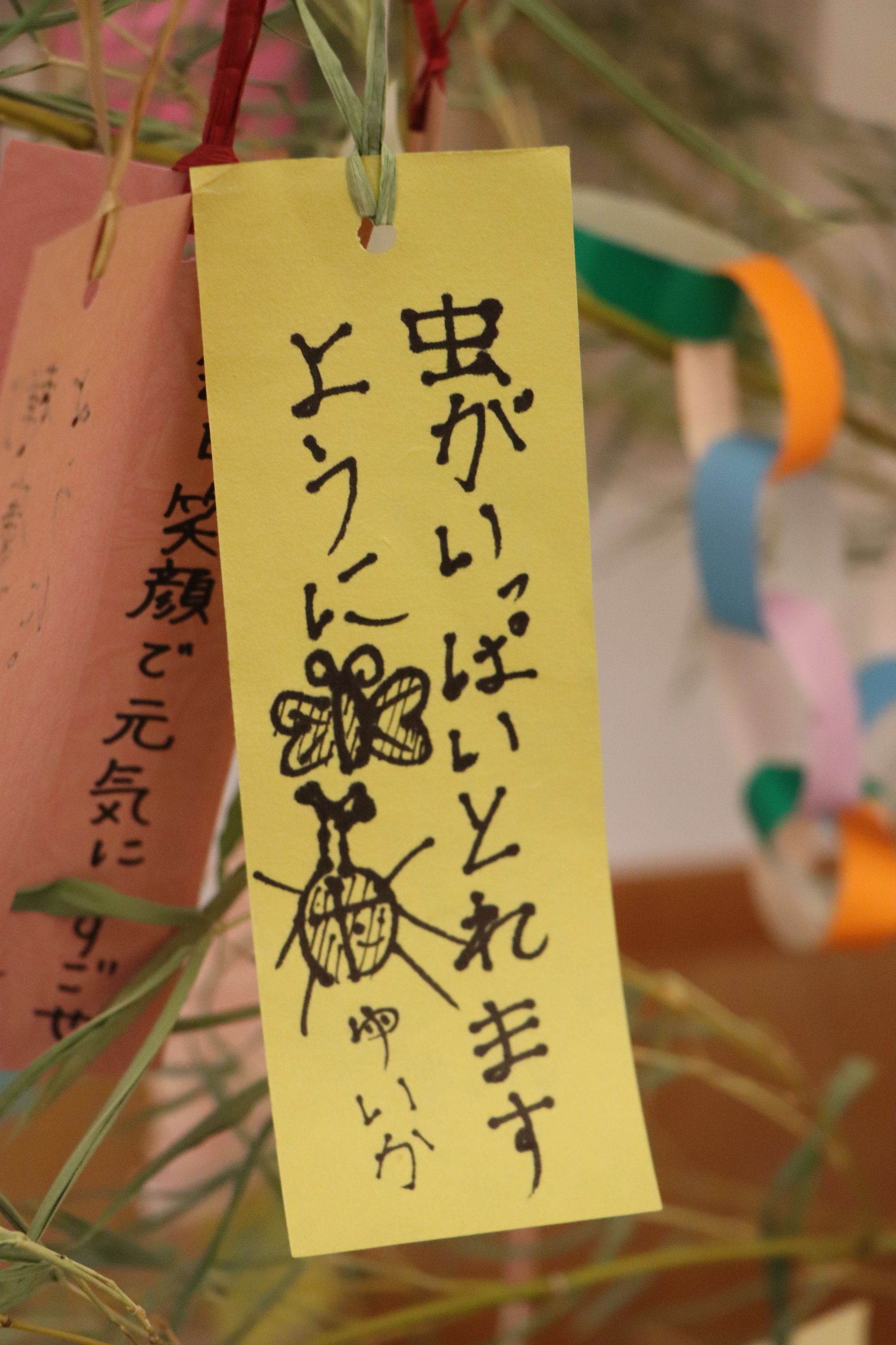 薄皮茶屋の朝茶会