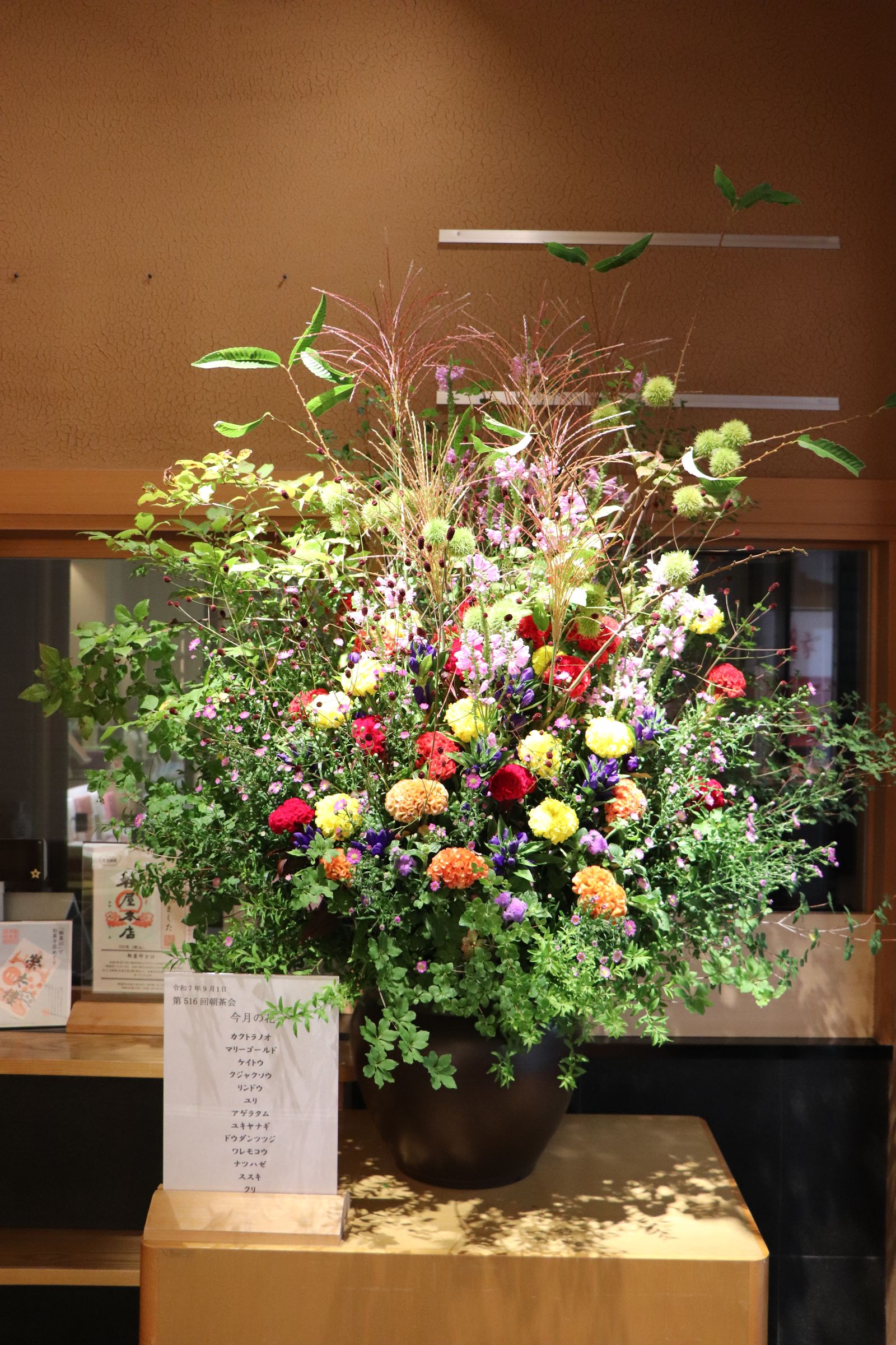 薄皮茶屋の朝茶会