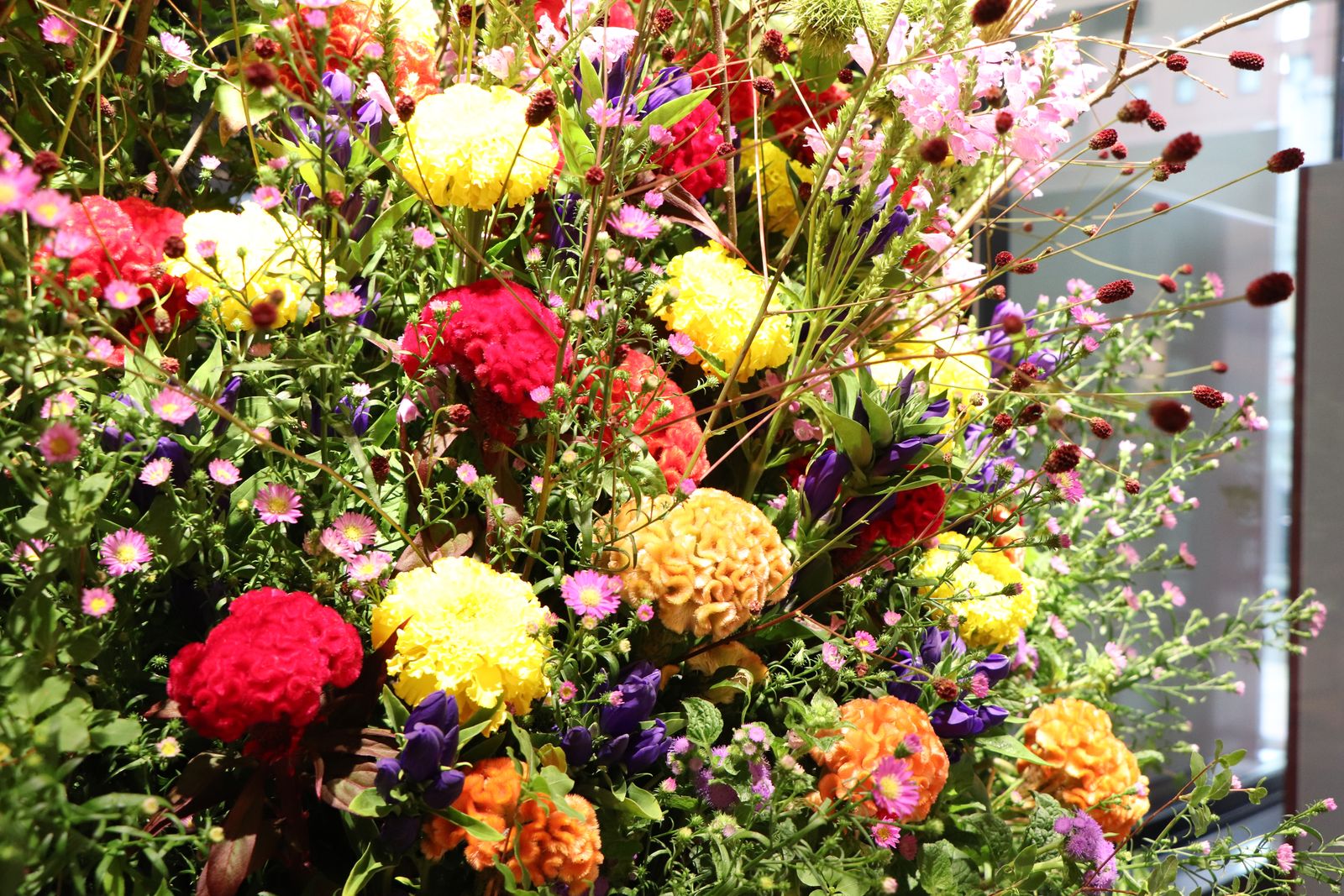 薄皮茶屋の朝茶会