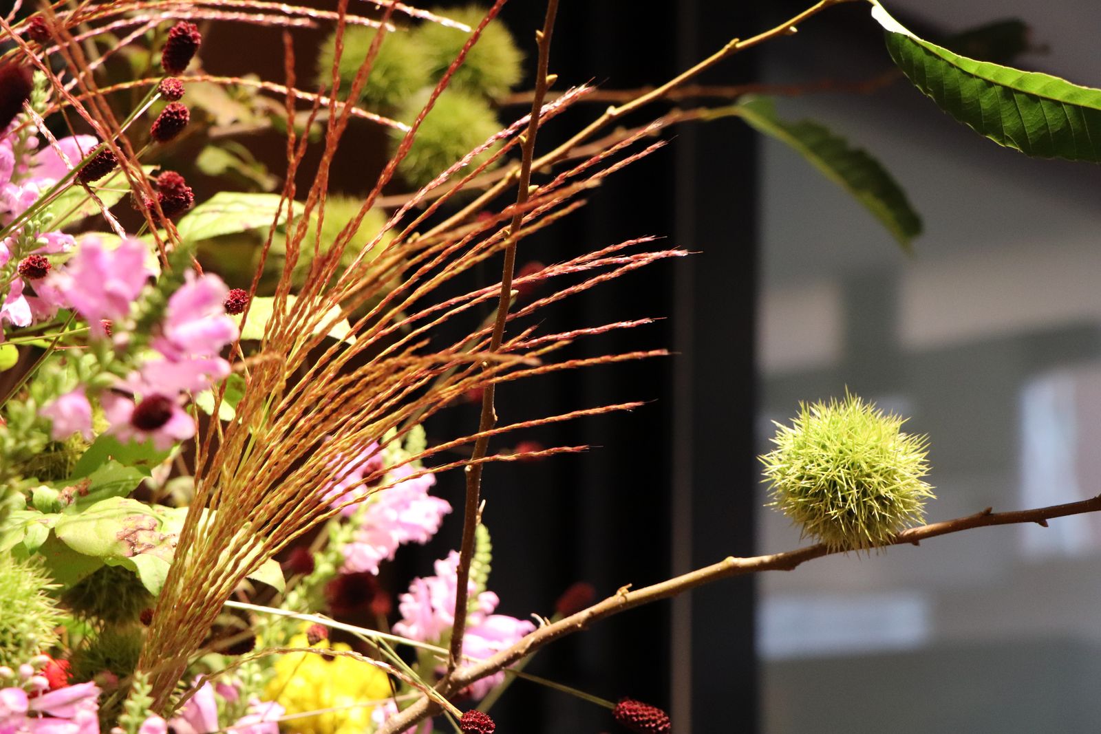 薄皮茶屋の朝茶会