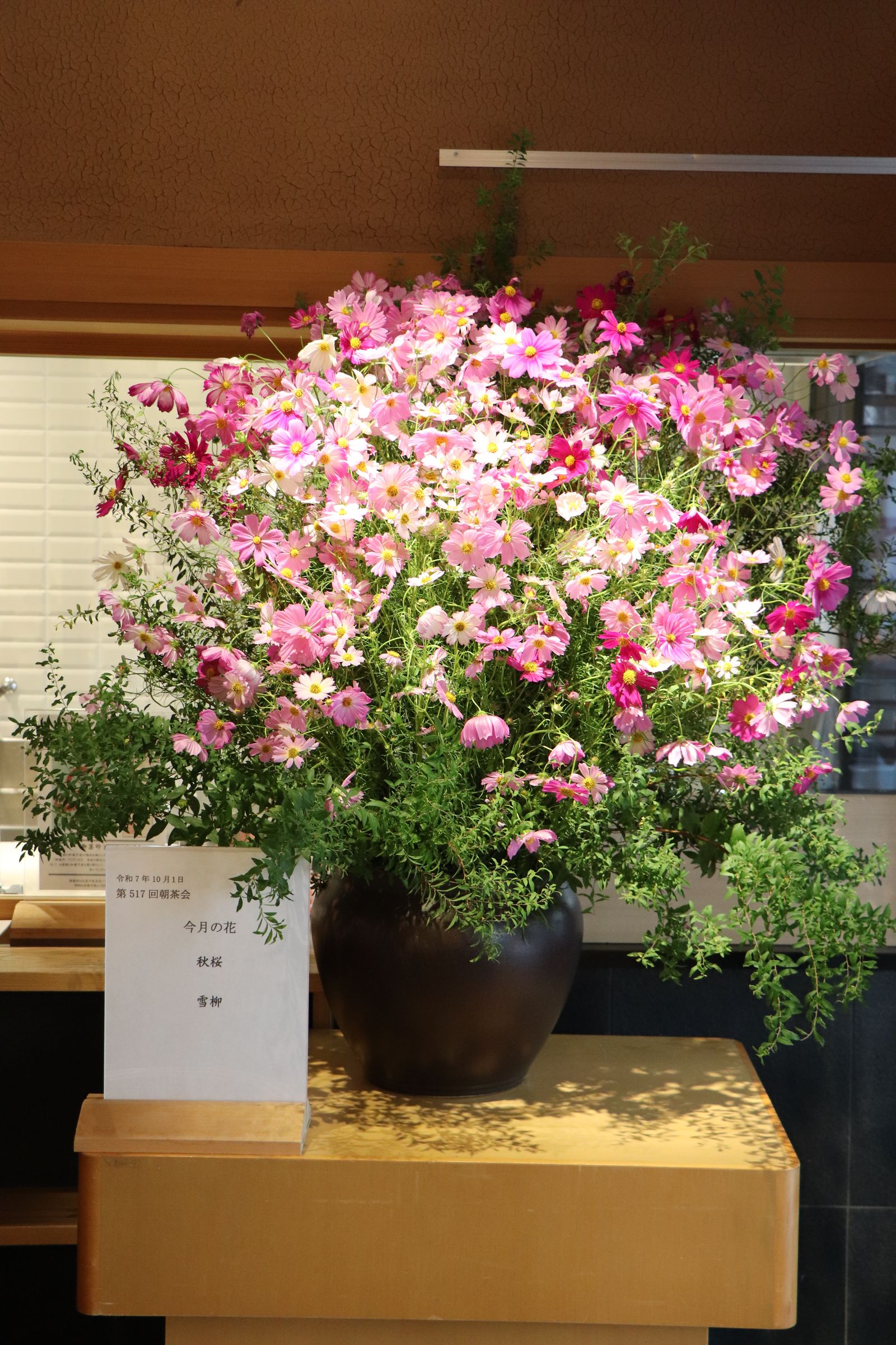 薄皮茶屋の朝茶会