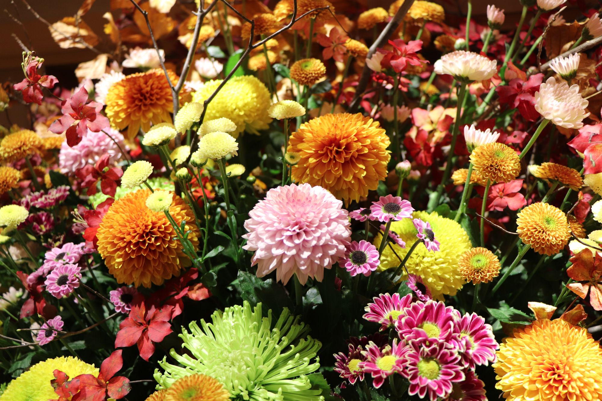 薄皮茶屋の朝茶会