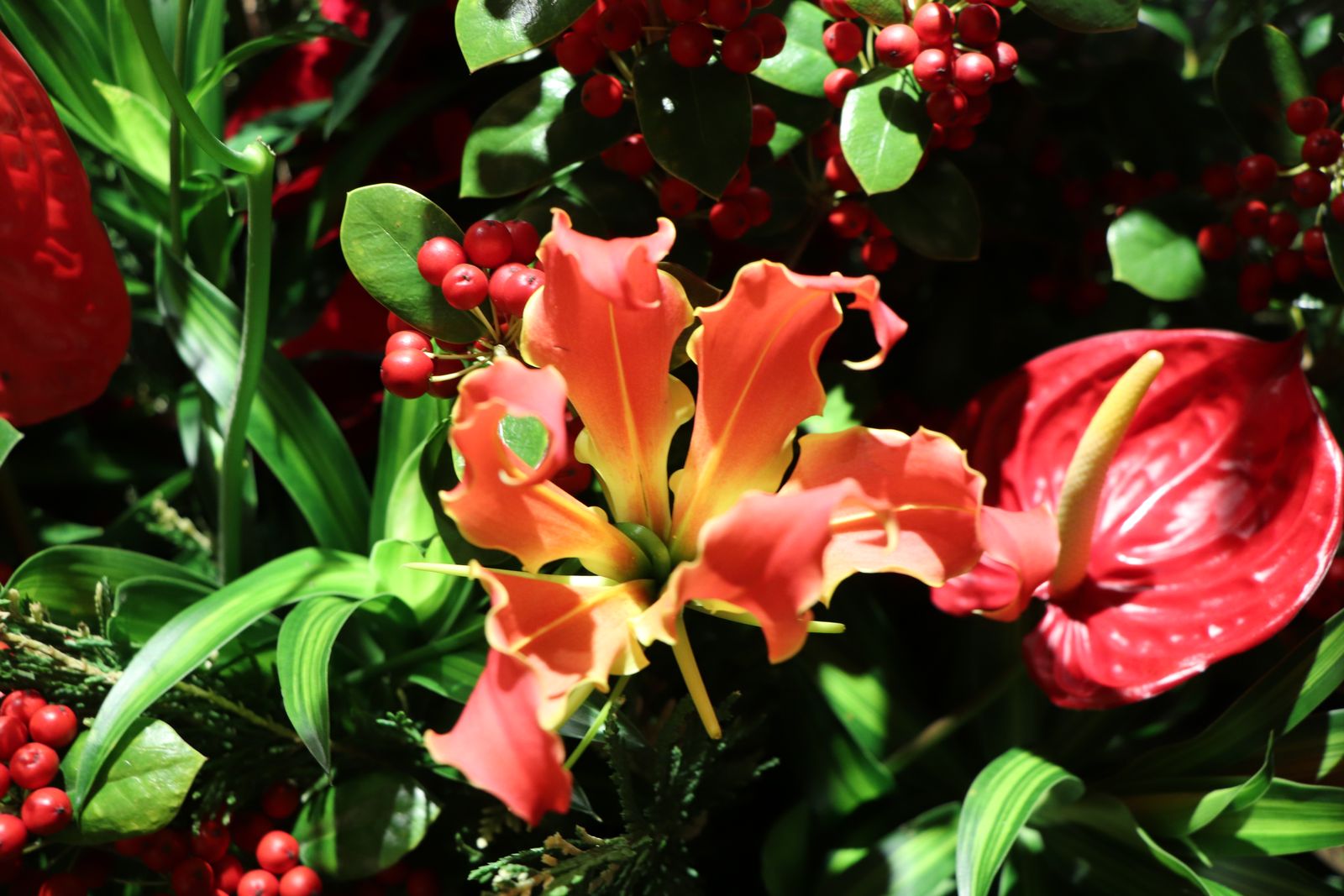 薄皮茶屋の朝茶会