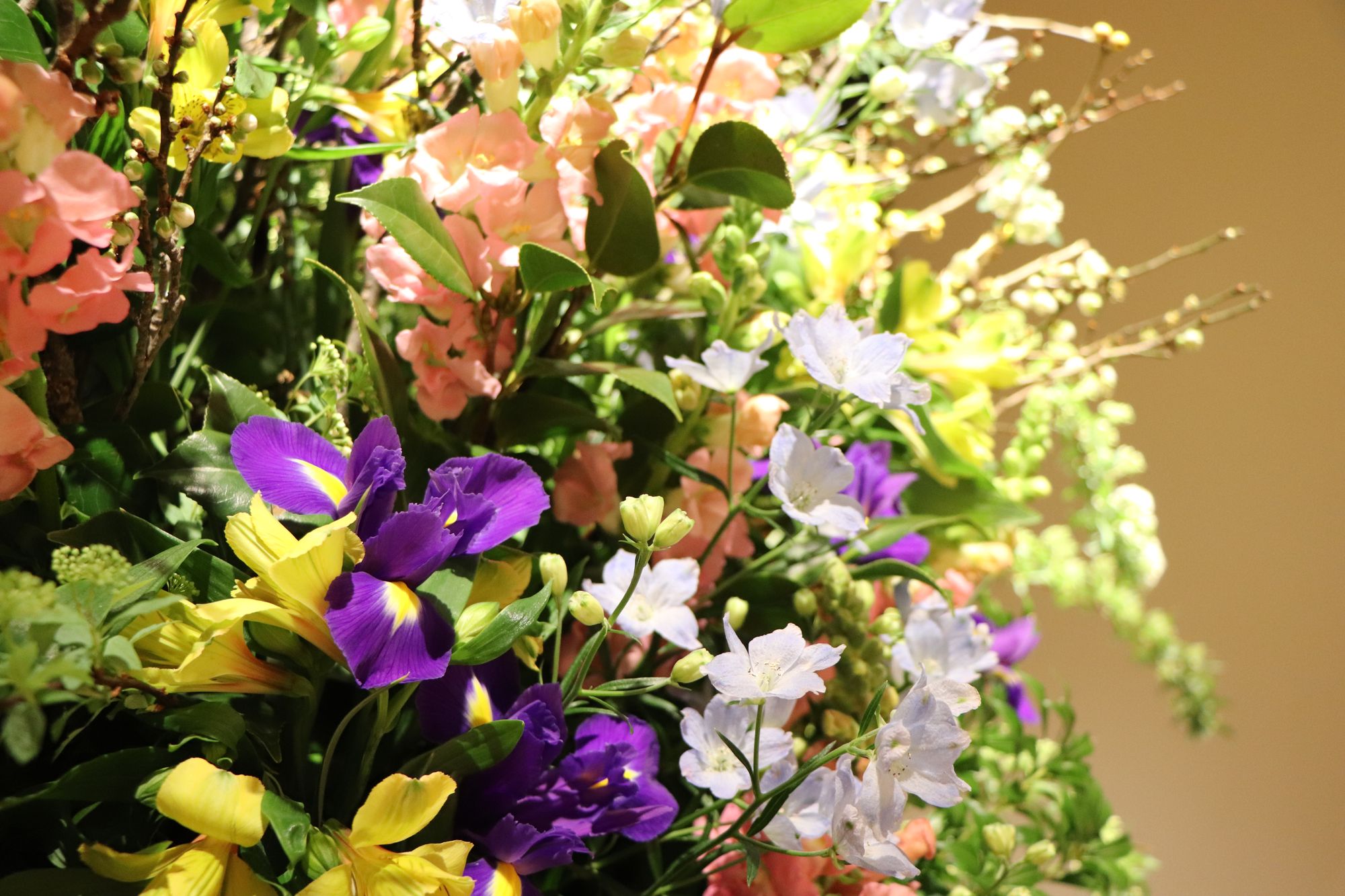 薄皮茶屋の朝茶会