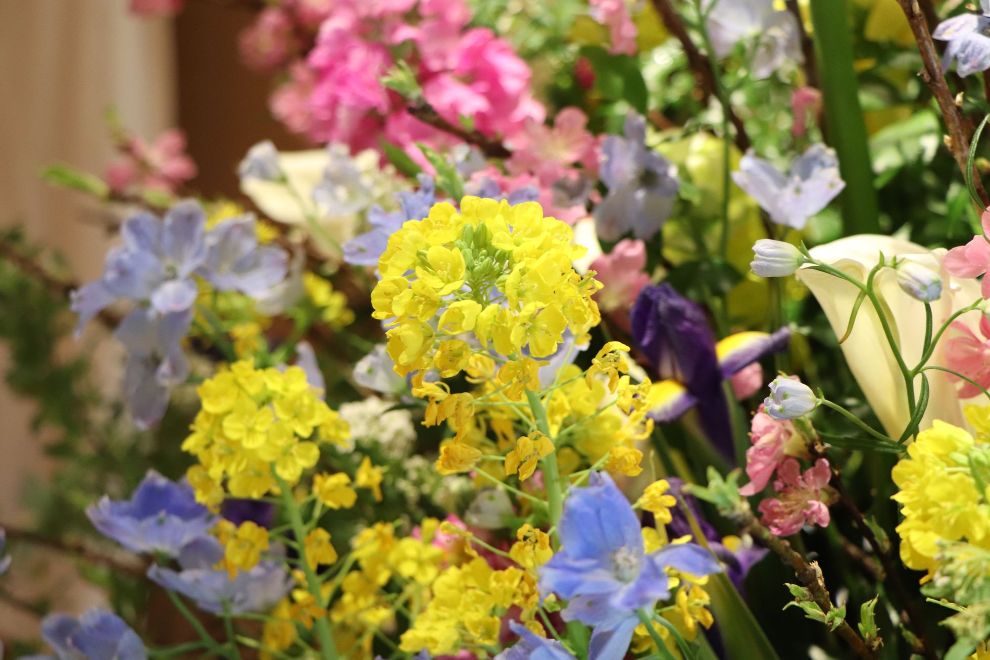 薄皮茶屋の朝茶会