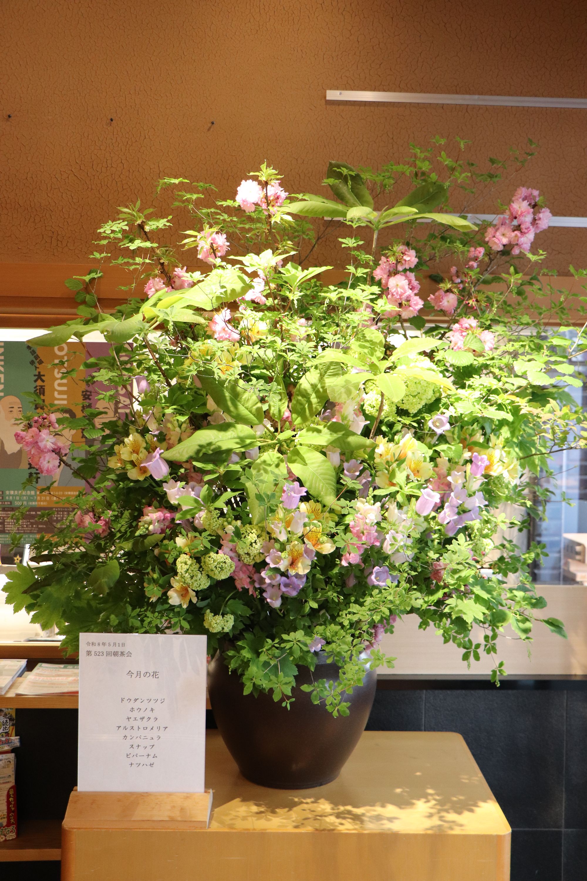 薄皮茶屋の朝茶会