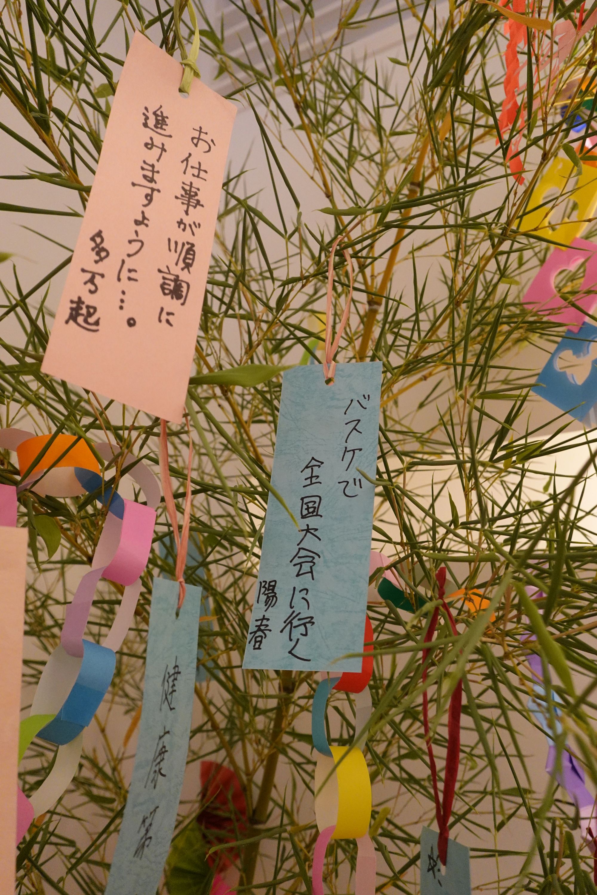 薄皮茶屋の朝茶会